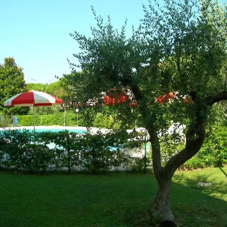 Shared Pool And Olive Orchard Garden بيبيوني